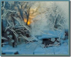moroz