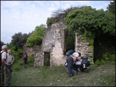 sta. Cilia