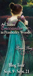 Blog Tour: A Chance Encounter in Pemberley Woods by Brigid Huey