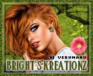 http://brightskreationz.blogspot.com/2015/01/steam-me-up.html