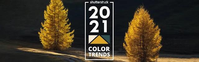 Shutterstock'tan 2021 Renk Trendleri Raporu