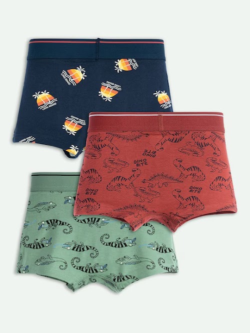Boys Pack of 3 Assorted Trunk