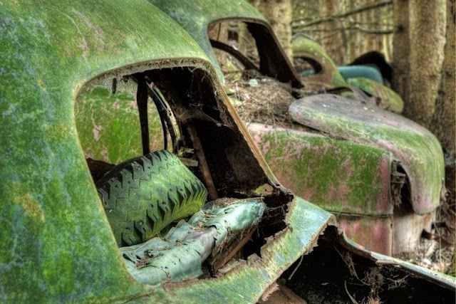 cementerio autos bosque Chatillon Bélgica