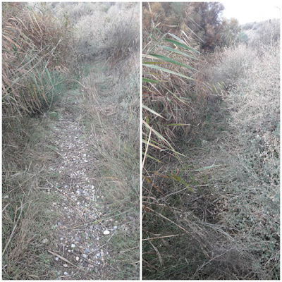 Camí de Sant Jaume de Compostela, Candasnos a Bujaraloz, corriol entre la vessant de la muntanya i la carretera N-II