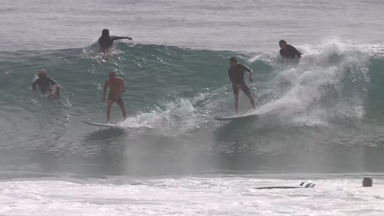 Heavy Localism Snapper Rocks