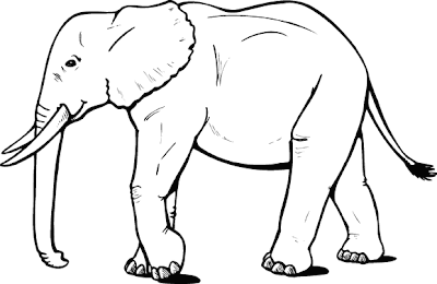 Elephant Coloring Pages