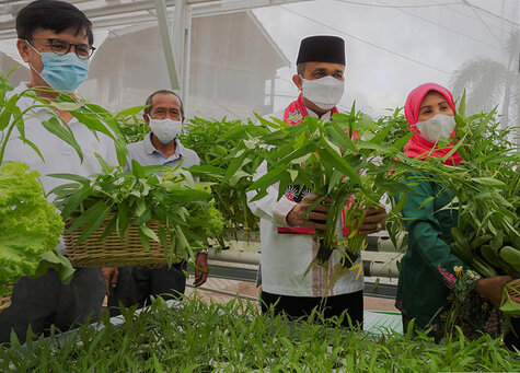 Wali Kota Jakarta Timur Panen di Kebun Sayur Hidroponik Nuansa Pondok Kelapa Jakarta Timur