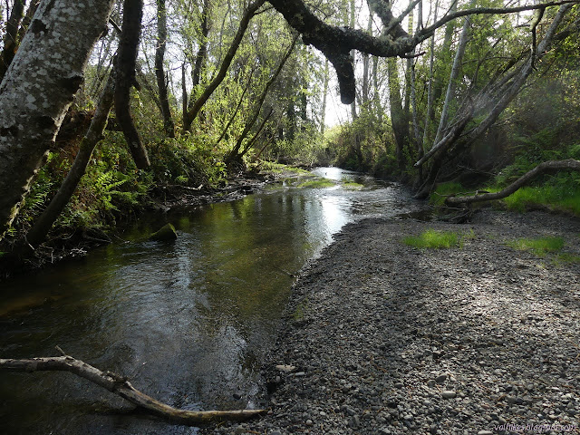 Jacoby Creek