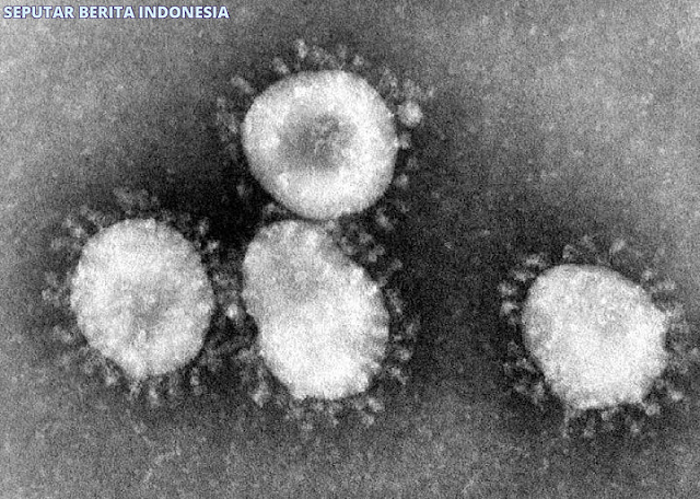 Virus Corona Sudah Menyebar DI Korea Selatan