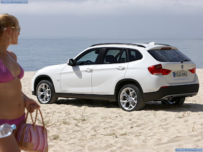 2010 BMW X1