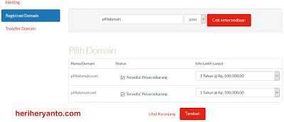 Keunggulan Menggunakan Top Level Domain .net/.com