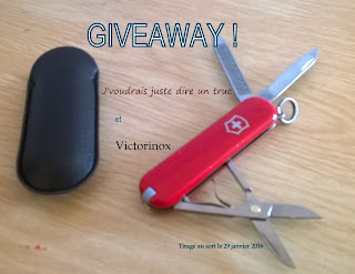 giveaway blog j'voudrais juste dire un truc victorinox couteau suisse canif onglier