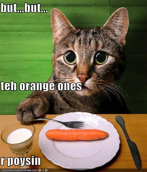Cat Eats Carrot in Dinner - Funny Picture