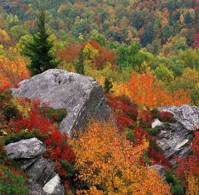 The Blue Ridge Parkway