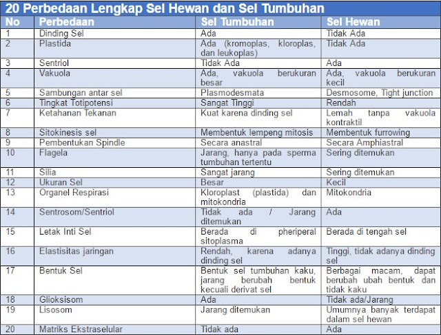 20 Perbedaan Sel  Hewan  dan  Sel  Tumbuhan  Kumpulan