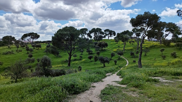 Cerro de la Sartén