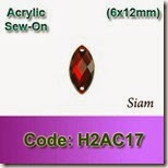 H2AC17 copy