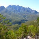 View album