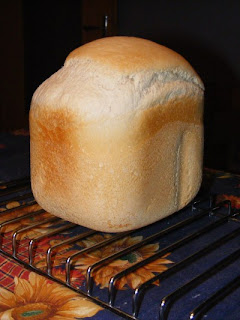 pane con pasta madre nella macchina del pane