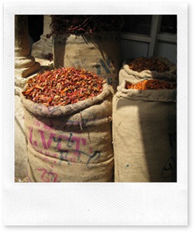 Delhi - 15 - Chillies