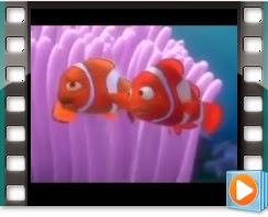  Trecho do vídeo - Procurando Nemo!