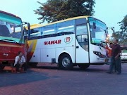 25+ Bus Mawar, Konsep Terkini!