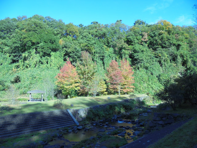 別所川渓流植物園