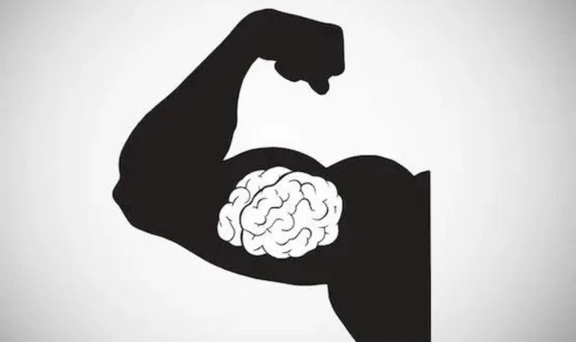 الذاكرة العضلية - كيفية استعادة العضلات وكم المدة؟