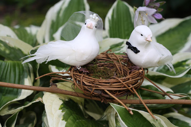 Love Bird Theme Wedding