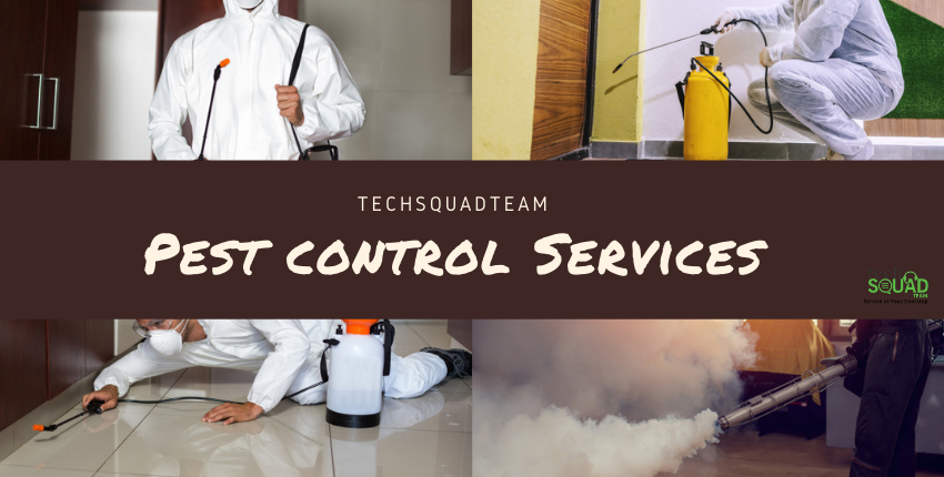 pest control services in Bangalore