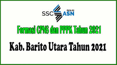 Alokasi Formasi CPNS dan PPPK KAB. BARITO KUALA Tahun 2021