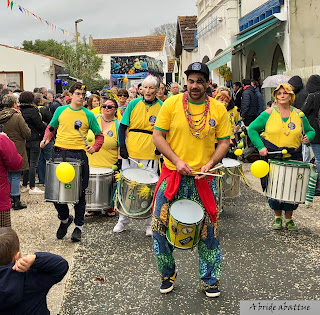 fête mimosa Saint-Trojan-les-Bains (17)