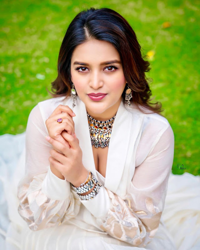 nidhhi-agerwal-photos