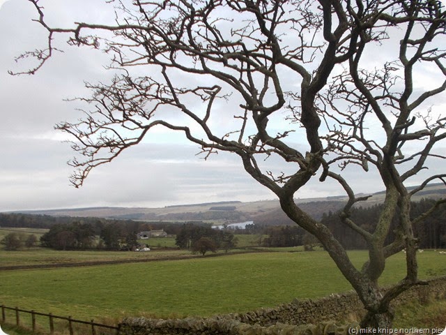 tunstall