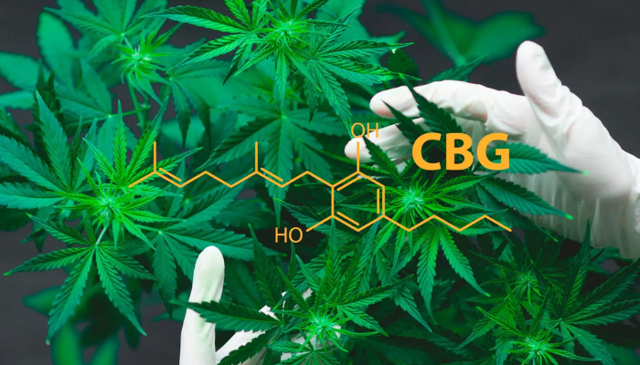 buy cbg online