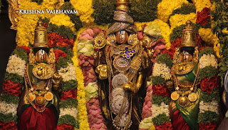 Thirumalai,Thirupati,  Tirumalai purappadu Sri Thiruvenkatamudaiyan Perumal, Malaiayappa swamy, Venkata Krishna , 2017, Video, Divya Prabhandam,Unjal,Utsavam,