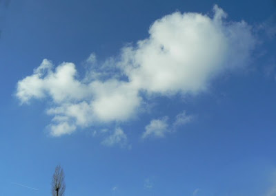 Clouds That Look Like