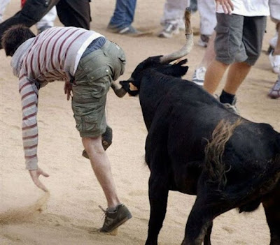 toro enculando a un muchacho