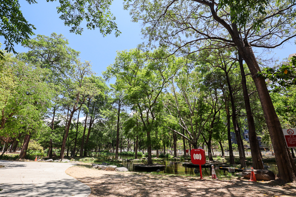 高雄鳳山大東濕地公園大型生態池塘、森林步道，綠意盎然