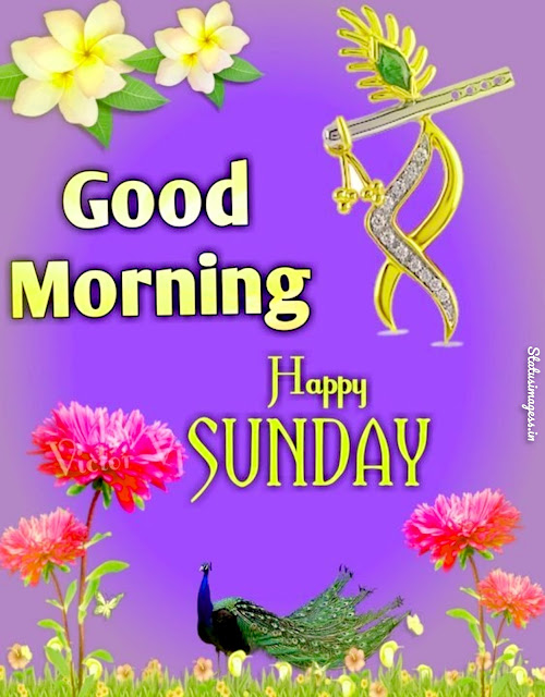 Sunday Good Morning Images In Hindi