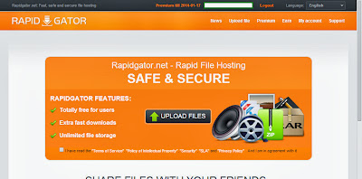 Rapidgator.Net Premium Cookie 28/12/2013