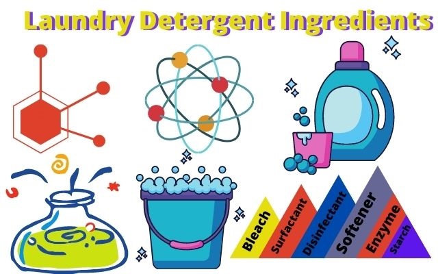 How do Laundry Detergent Ingredients work? Hygienic Cleaning