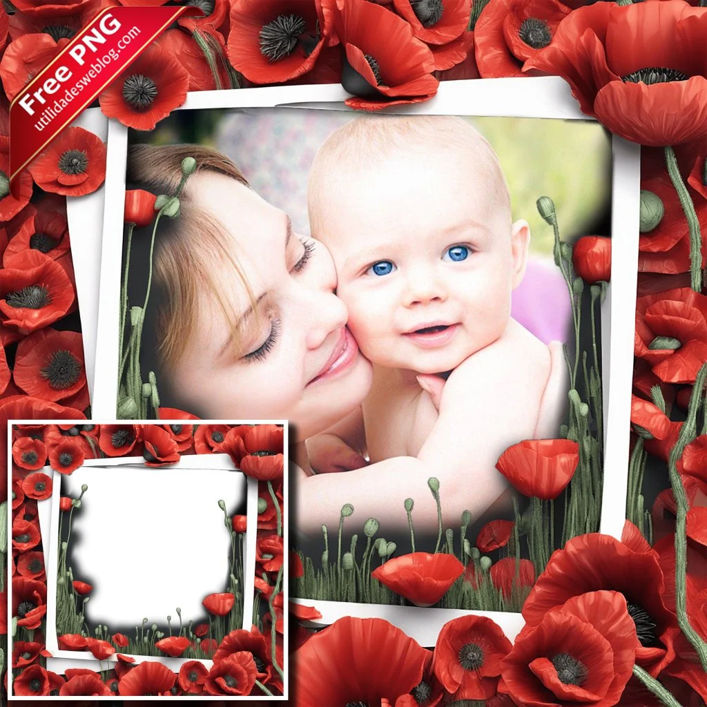 marco para fotos con flores de poppies o amapolas rojas en png con fondo transparente para descargar gratis