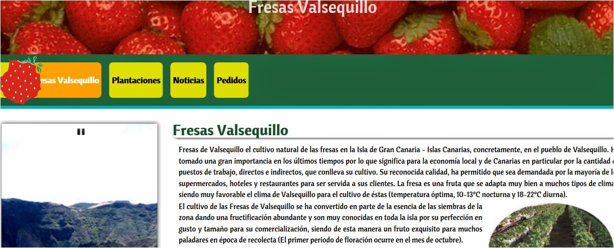 http://fresasvalsequillo.com/fresas-valsequillo