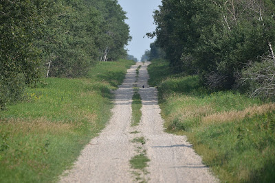 Trans Canada Trail near Roblin Manitoba.