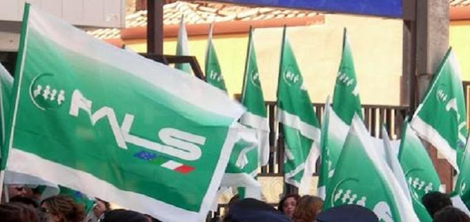 Costanzo (Fials): San Carlo Potenza: forte criticità per carenza di personale