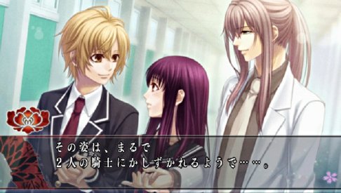 hanaoni yume no tsuzuki psp