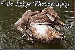 IMG_8023