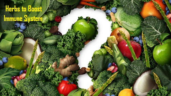 HOW TO INCREASE IMMUNITY HOME REMEDIES