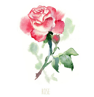 watercolour illustration, watercolour flower, watercolour painting, watercolour rose, watercolour flowers, watercolour illustrator, watercolour illustrator uk, watercolour illustrator london, freelance illustration, freelance illustrator, freelance artist, freelance illustrator uk, freelance illustrator london, i need an artist, looking for artist, i need an illustrator, flower painting illustrator, flower painting artist, beautiful flower painting, london art, detailed watercolour, illustrator floral, anastasiya levashova, anastasia levashova, event artist, live illustration, live illustration event, live illustration london, 